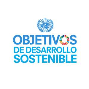 oBJETIVOS-DE-DESARROLLO-SOSTENIBLE